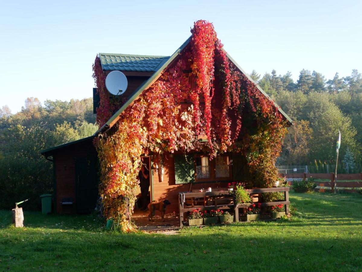 Lodge Karaibskie
