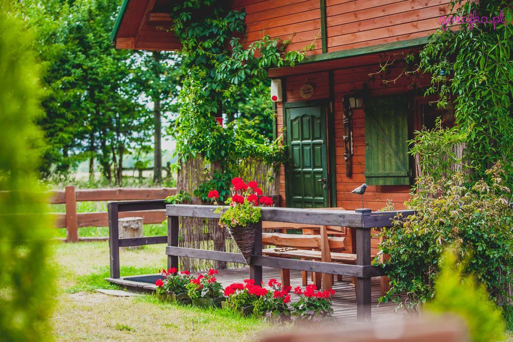 Lodge Karaibskie